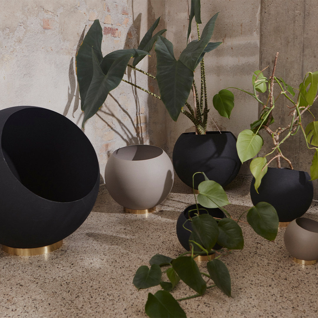 Black and beige planters with gold accents, showcasing modern shapes against a neutral backdrop. Perfect for indoor décor.