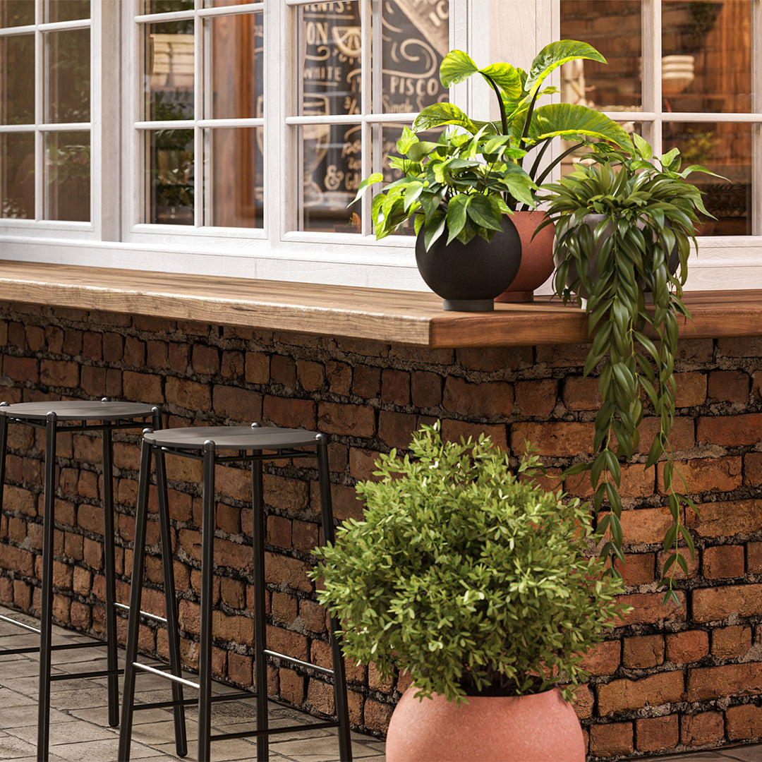 "Stylish indoor bar scene featuring black and terracotta planters, lush green plants, and rustic brown brick wall."