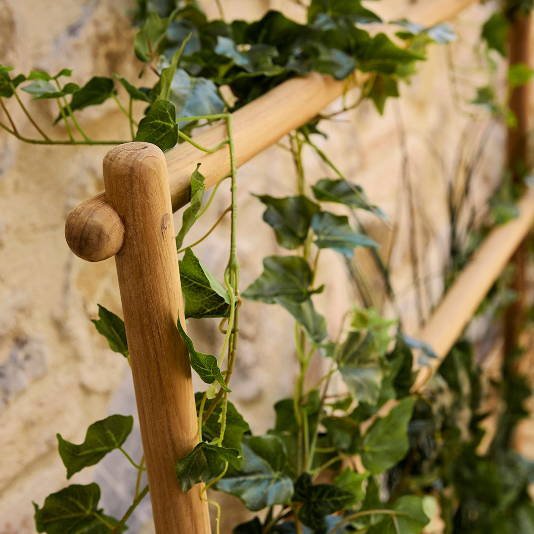 Green ivy vines cascading over a natural wooden frame against a textured stone wall.