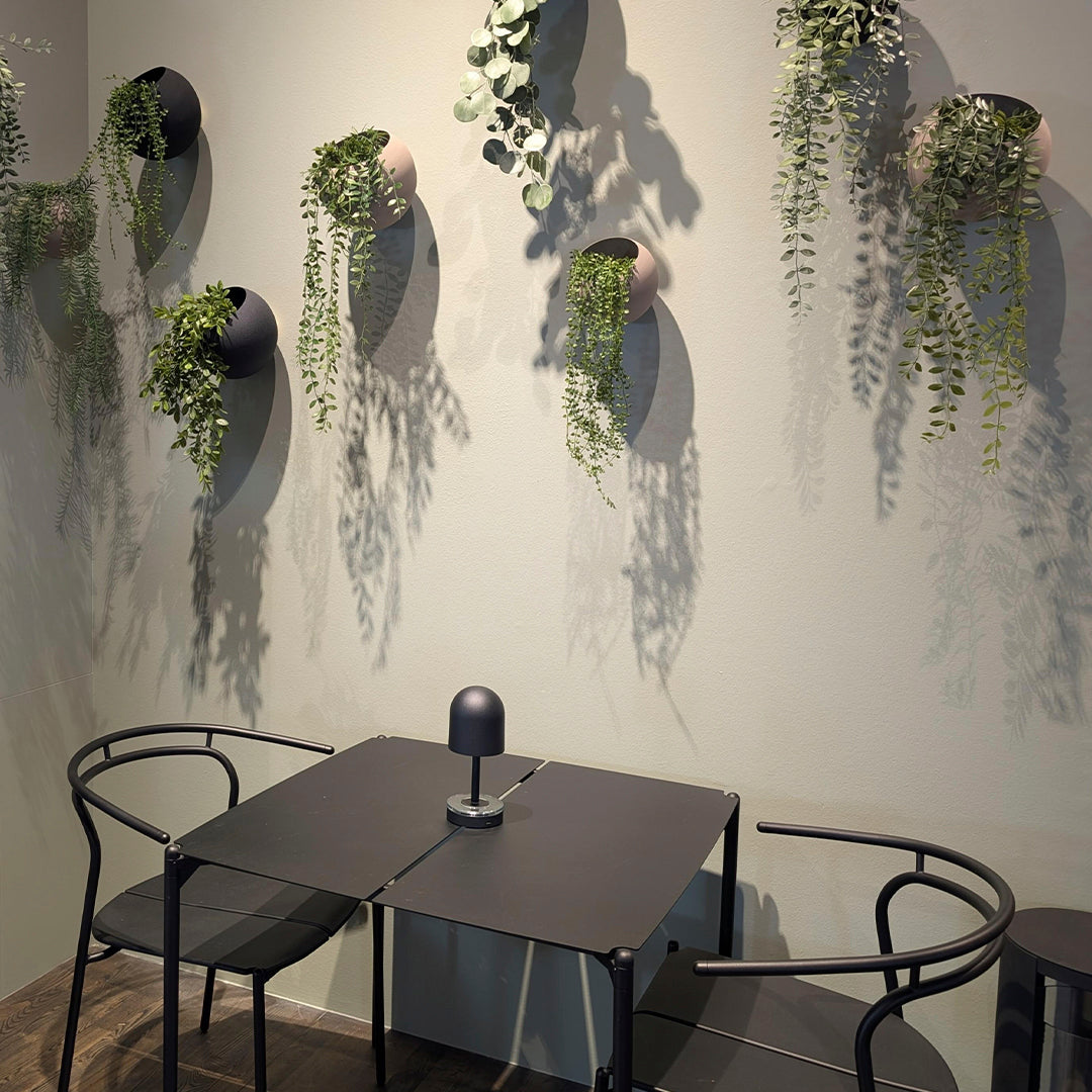Black and blush wall planters with lush green foliage against a soft pastel wall, creating a modern, natural aesthetic.