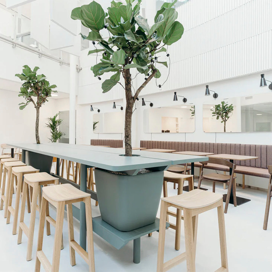 "Modern dining space with green plants, soft beige cushions, and a sleek blue table against a bright white backdrop."