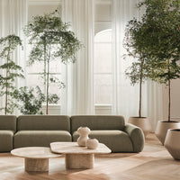 Green textured sofa with soft beige and cream decor, surrounded by light wooden flooring and lush greenery.