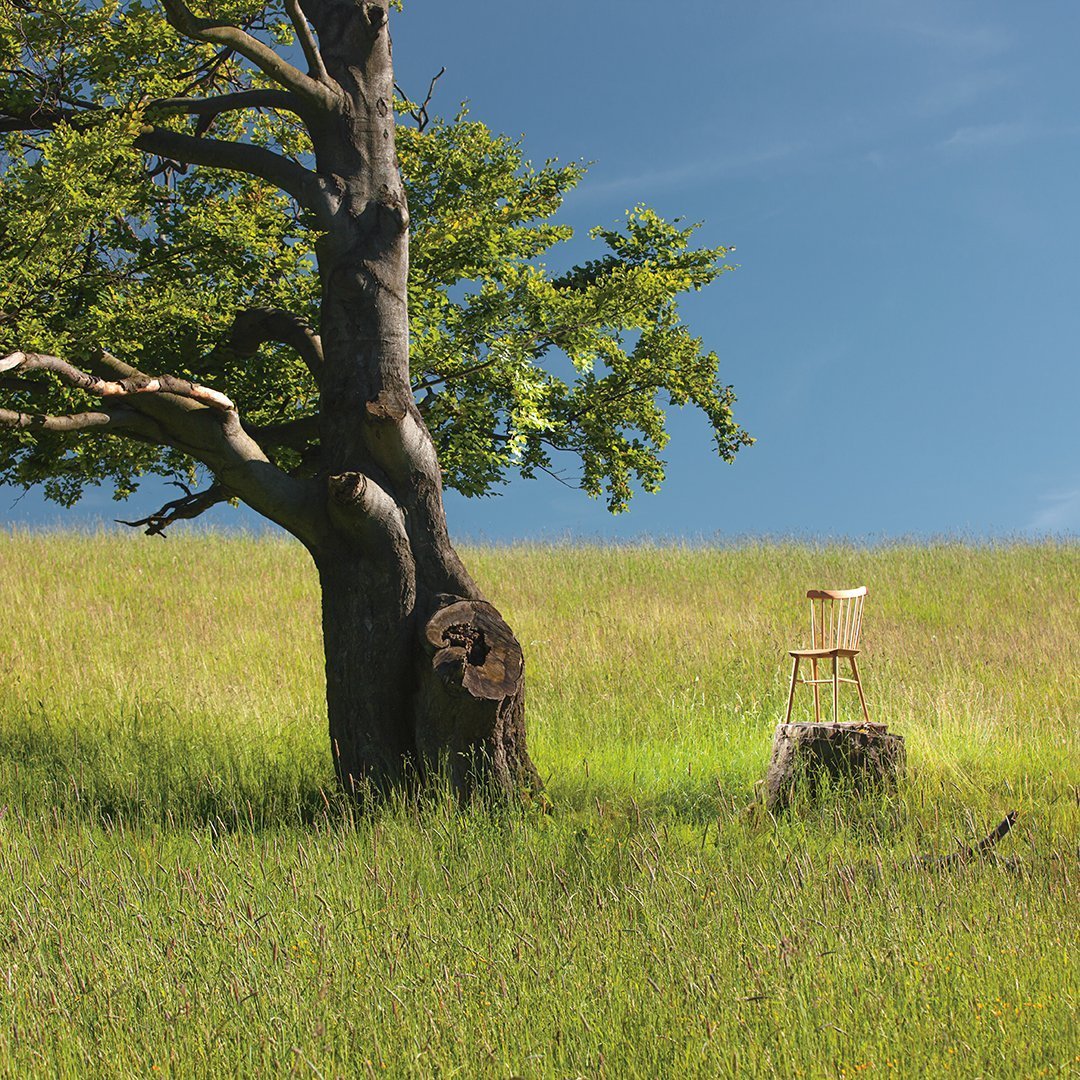 "Natural wood chair set against lush green grass and blue sky, highlighting organic textures and colors."