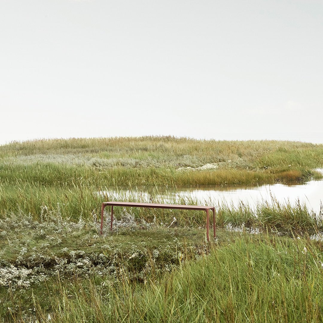 Lush green grasses with subtle white flower clusters and a hint of calm water reflecting a soft sky.