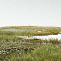 Lush green grasses with subtle white flower clusters and a hint of calm water reflecting a soft sky.