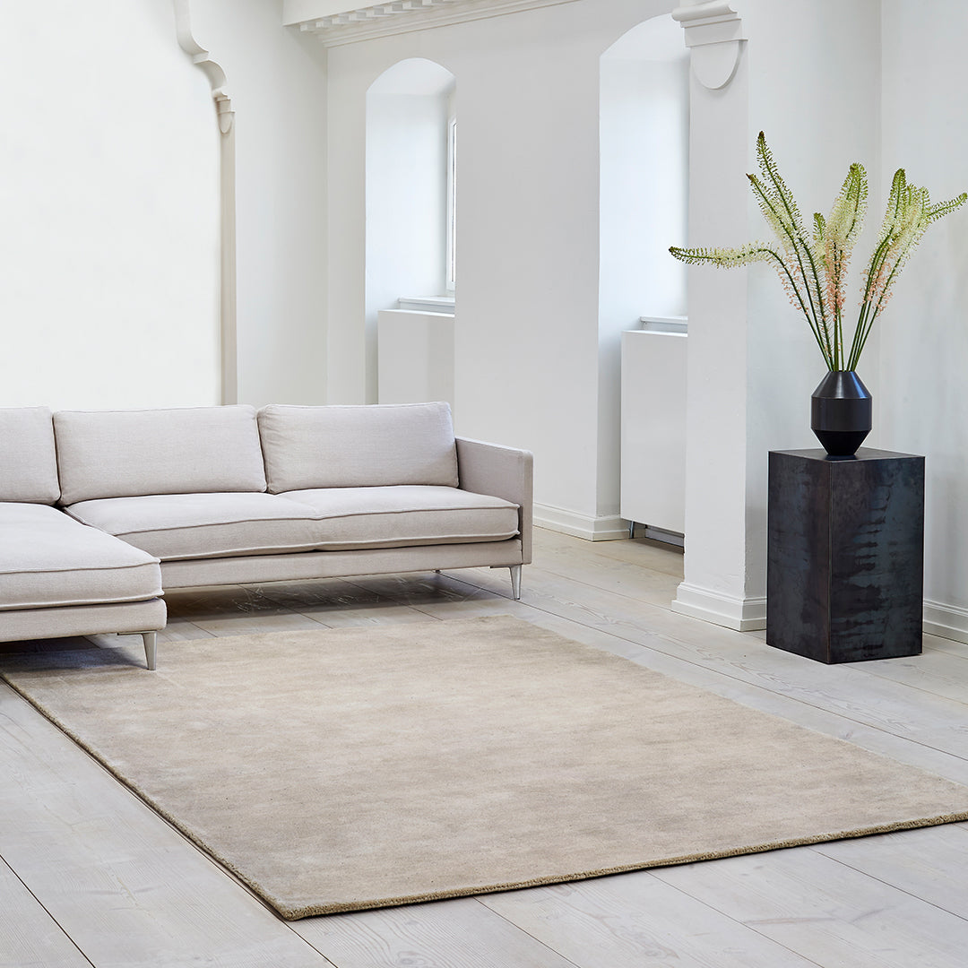 Beige area rug with a smooth texture, featuring a solid pattern, complements a modern living space with light decor.