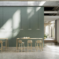 Modern interior with a muted green wall, wooden furniture, and natural light creating a serene ambiance.
