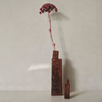"Two geometric vases in rich brown tones with a striking pink dried flower stem, set against a neutral background."