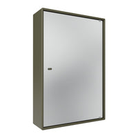 Olive green cabinet with a sleek, silver mirrored front, featuring a minimalist design for modern interiors.
