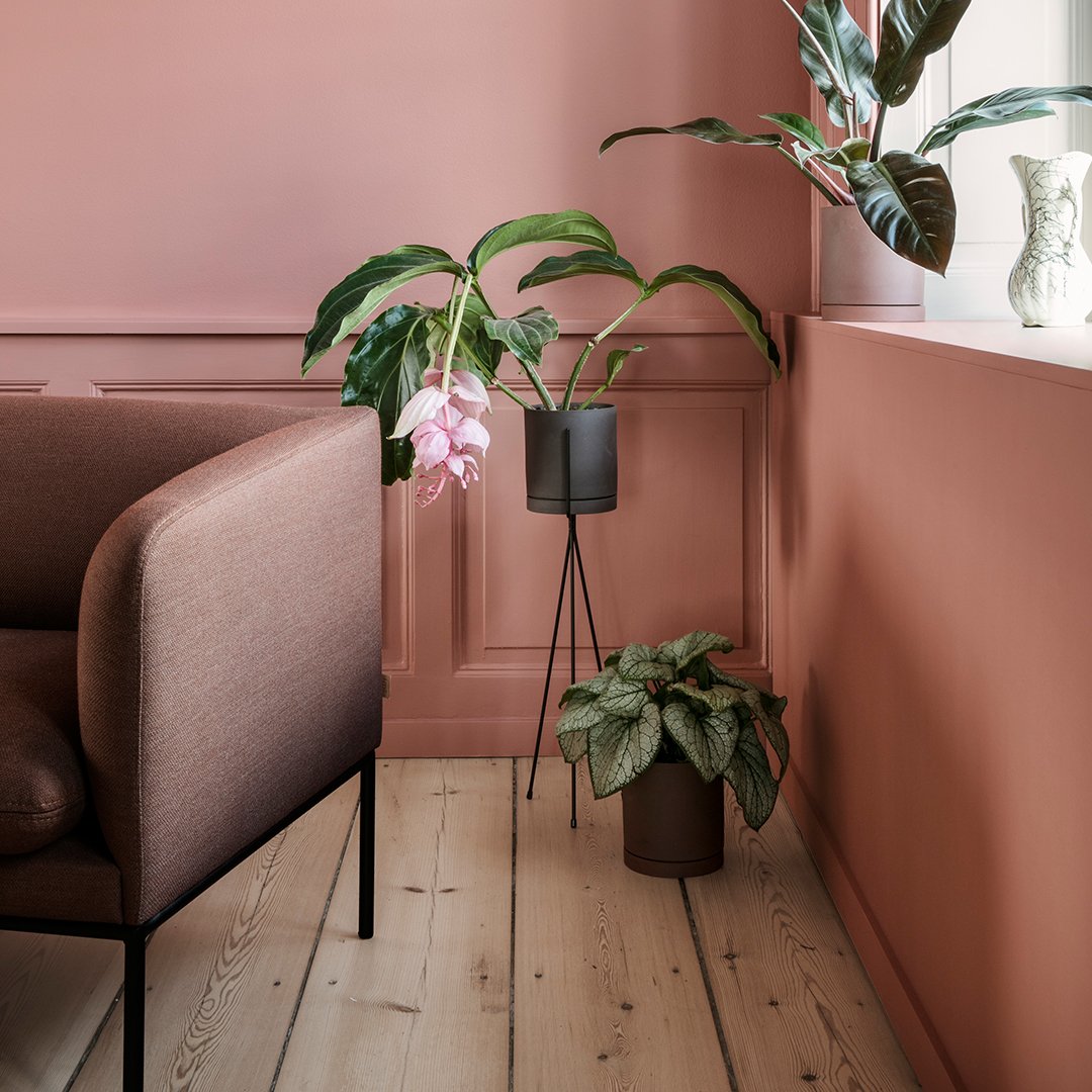 Stylish brown sofa against a soft pink wall, featuring green plants in black and brown pots, creating a modern, cozy vibe.