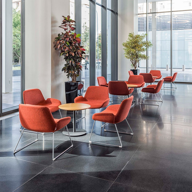Halia Sled Leg Chair