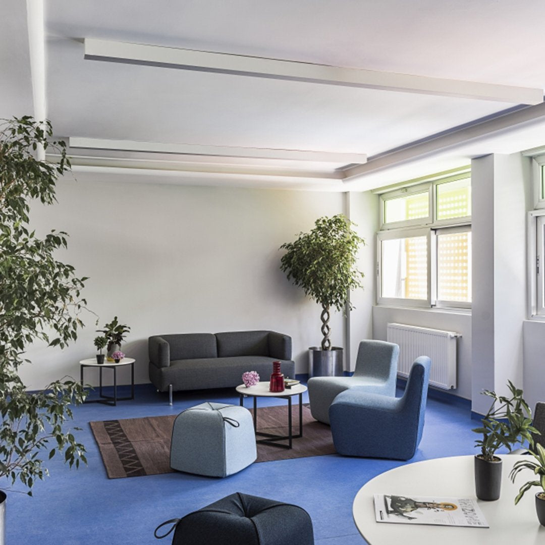 Modern living space with a blue carpet, gray sofa, and light blue accent chairs, complemented by green plants and white walls.