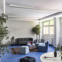 Modern living space with a blue carpet, gray sofa, and light blue accent chairs, complemented by green plants and white walls.