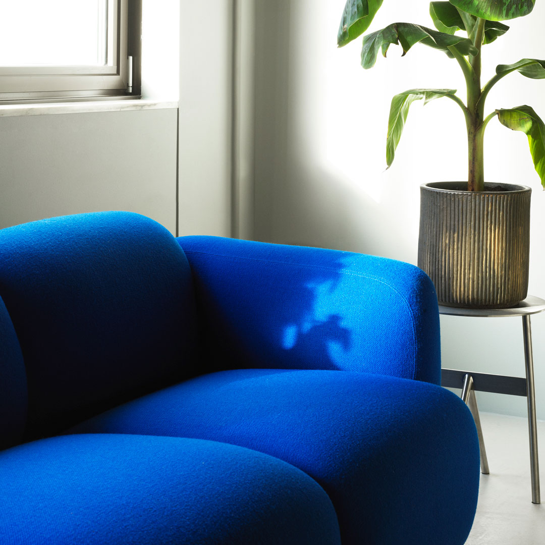 Vibrant blue couch with a smooth texture, complemented by a modern, minimalist design in a bright setting.