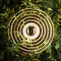 Golden spiral pattern surrounded by vibrant green foliage. Modern design accentuated by nature's hues.