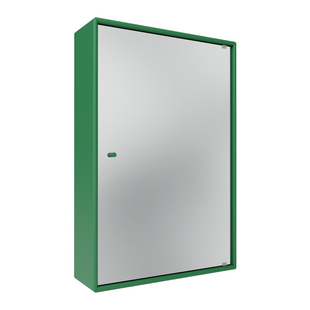 Green metal cabinet with a smooth silver mirror-like front surface and minimalistic design. Perfect for any modern space.