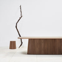 Wooden table in rich walnut tones, paired with a light beige floor and textured tree branch accent. Minimalist design.