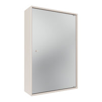 Sleek white cabinet with a reflective silver mirror finish. Minimalist design for contemporary decor.