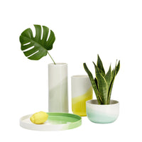 Green and white vases with gradient patterns, a round tray in soft green, and a sleek bowl complement vibrant greenery.