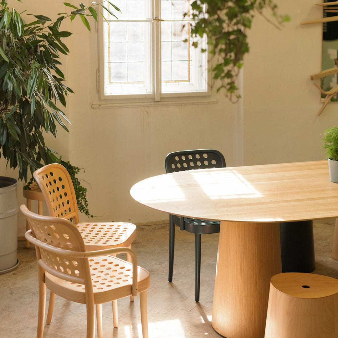 Light wood chairs with circular patterns, dark green chair, natural wood oval table, bright indoor plant accents.
