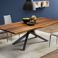 Natural wood dining table with a rich brown finish, gray metal base, and soft beige rug. Stylish modern decor elements included.