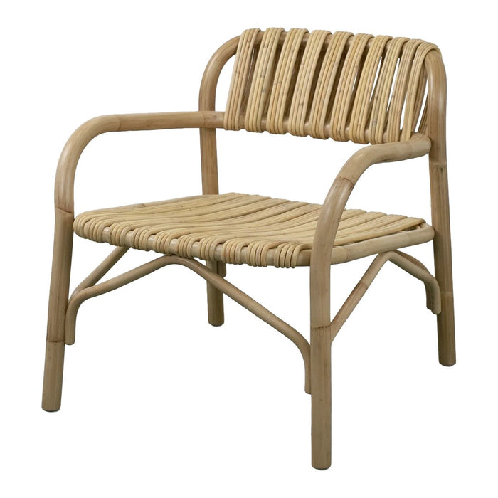 Bliss Lounge Chair - Indoor