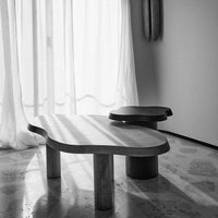 Stylish black and white organic-shaped coffee table with smooth surfaces, enhancing modern decor with unique patterns.