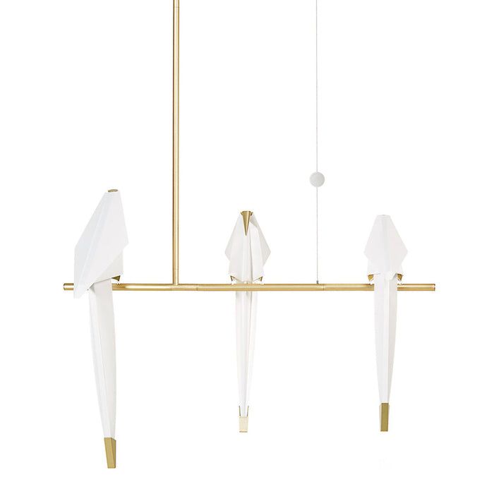 Perch Light Branch