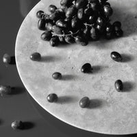 Black grapes and beans scattered on a textured gray plate, featuring a monochromatic, minimalist design.