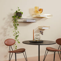 Contemporary brown chairs with black table, warm yellow and clear shelves, and lush green plant against a soft beige wall.
