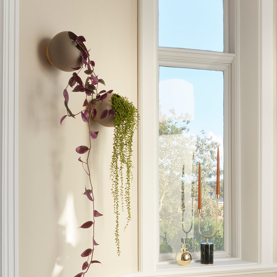 "Modern wall planter in beige with purple trailing vines and lush green succulents against a neutral wall."