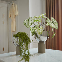 Silver and green patterned planters with lush foliage, set against soft beige and rich brown curtains.