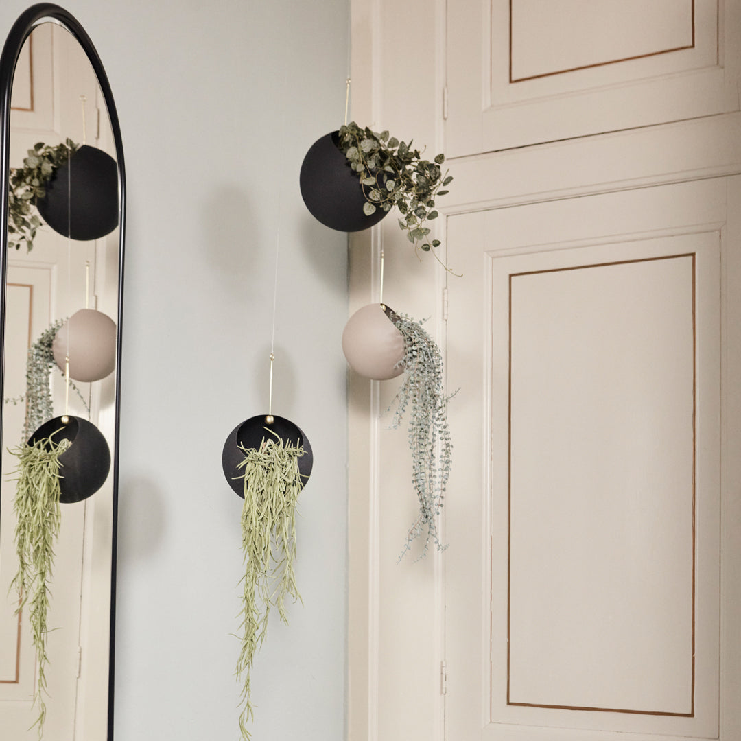 Black and pink wall planters with green trailing plants, stylishly arranged against a neutral background.