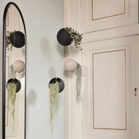 Black and beige wall planters with hanging greenery against a pale blue wall and a mirrored arc. Modern minimalist design.