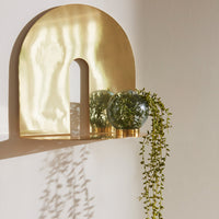 Brushed gold shelf with green glass vases and trailing vines casting soft shadows on a light background.