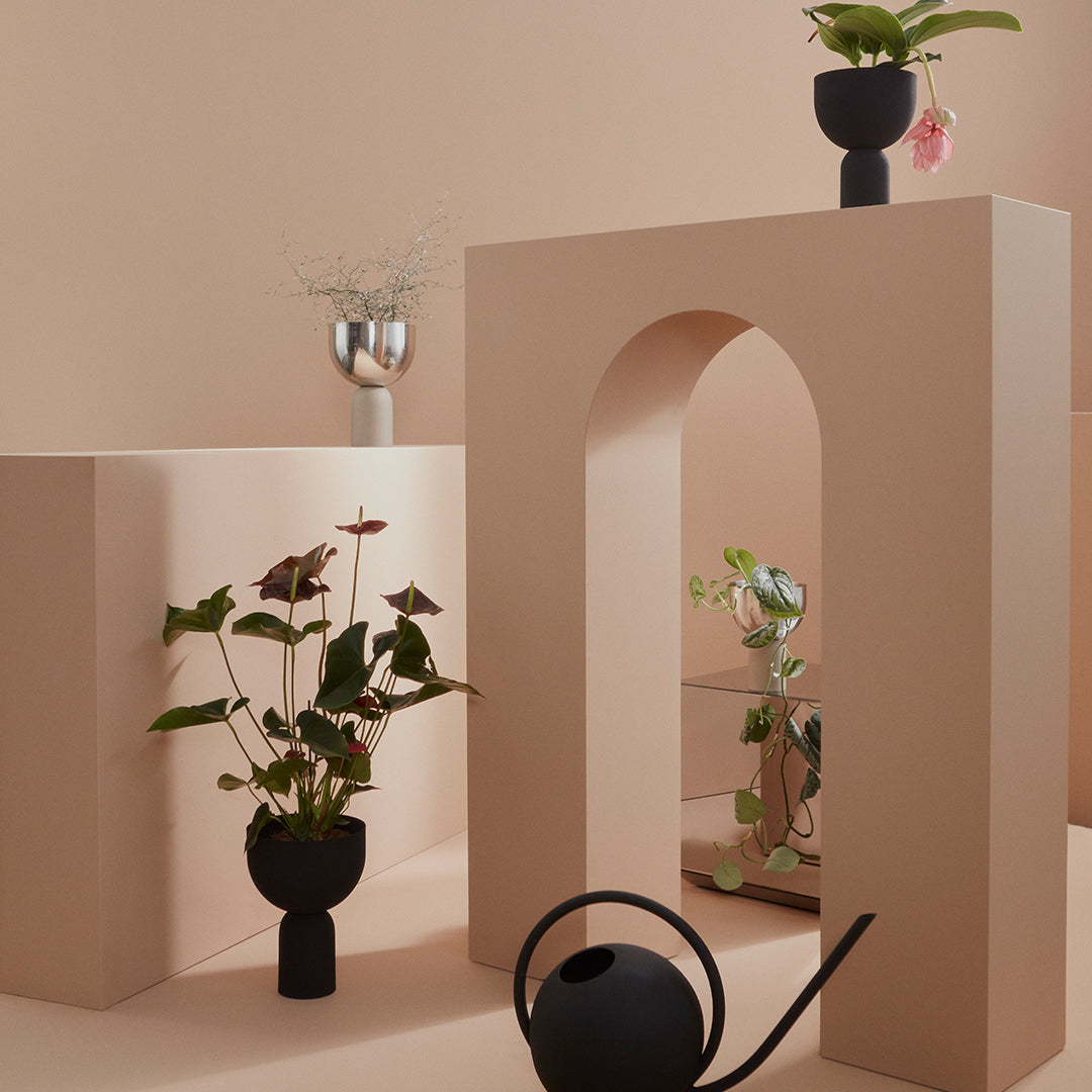 "Soft peach backdrop with black planters and greenery, featuring geometric shapes and natural textures."