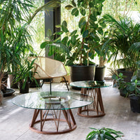 "Elegant glass coffee tables with wooden geometric bases, surrounded by vibrant green plants in a bright indoor space."