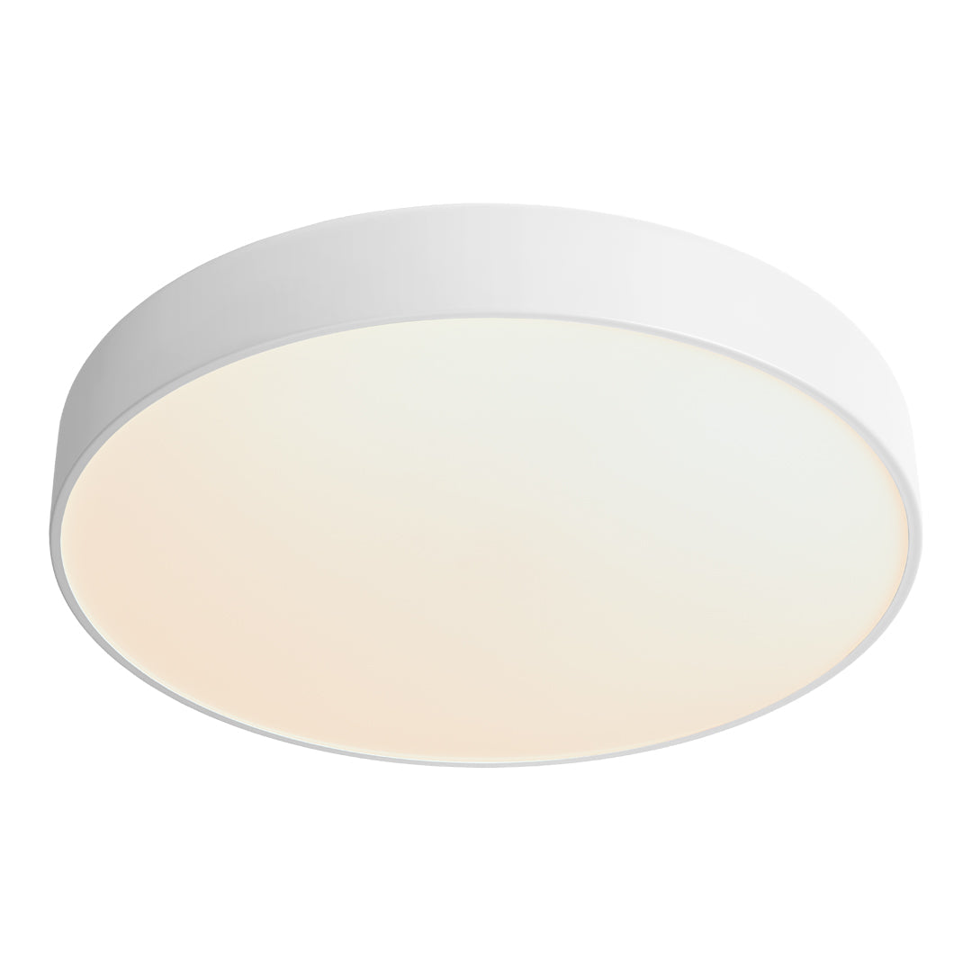 White circular flush mount ceiling light with a soft, gradient glow pattern. Ideal for modern decor.