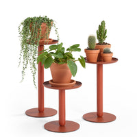 Rustic terracotta plant stands with vibrant green plants, featuring clean lines and circular patterns. Perfect for modern decor.