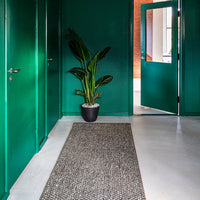 Textured black and white rug on a light floor, with vibrant green walls and a potted plant in a modern entryway.