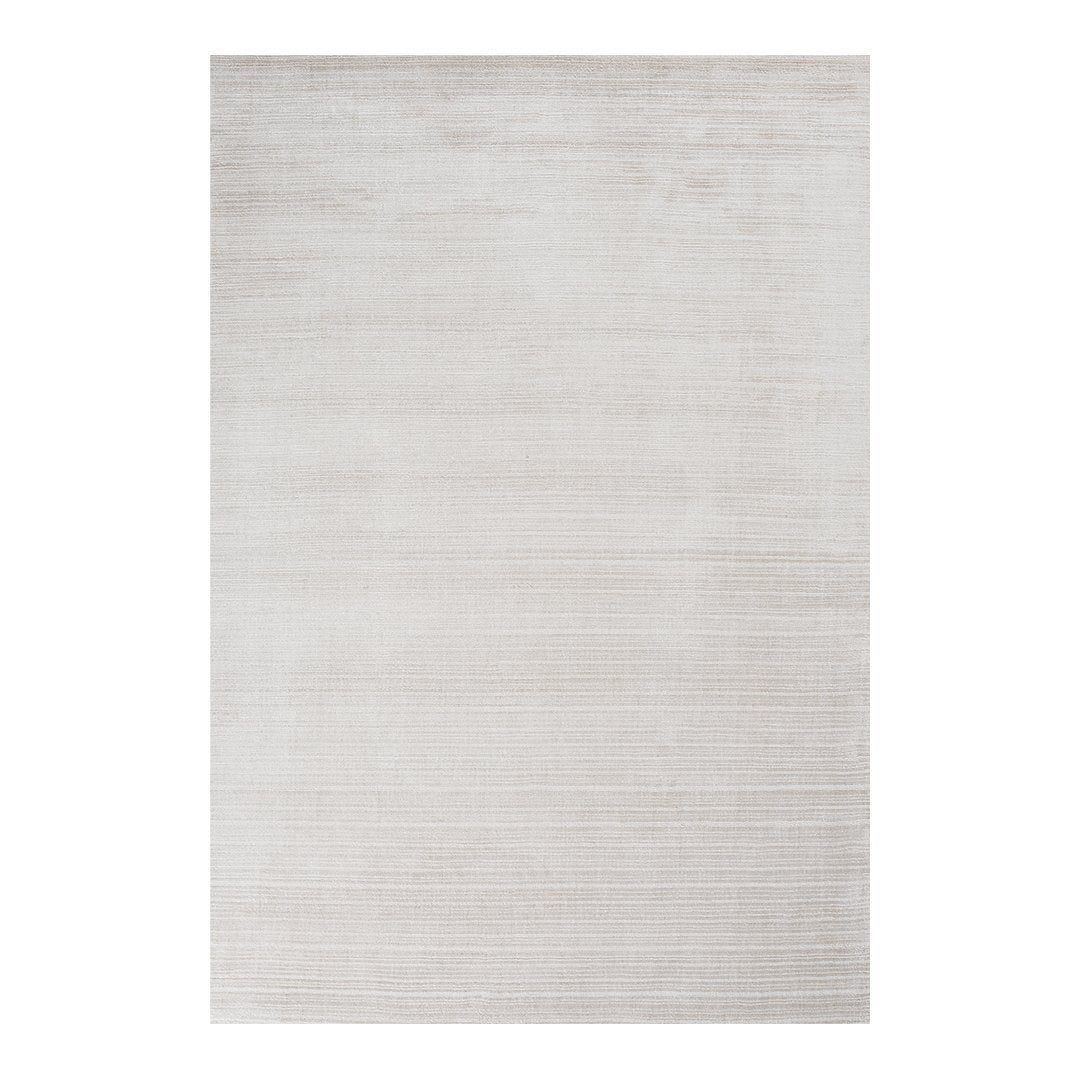 Light gray area rug featuring subtle tonal variations and a soft, textured pattern. Perfect for modern decor.