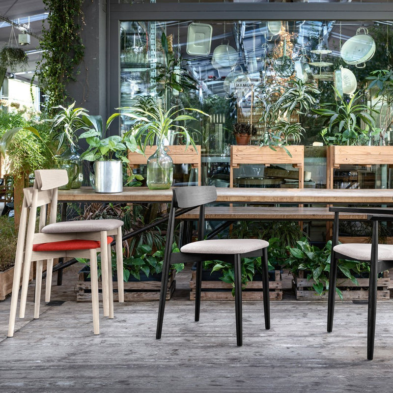 Claretta Armchair