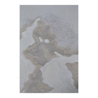 Abstract gray and beige patterned rug with soft textures and flowing shapes, ideal for modern decor.