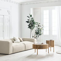 Beige sofa with soft lines, paired with natural wood coffee tables and lush green plants against a bright, airy backdrop.
