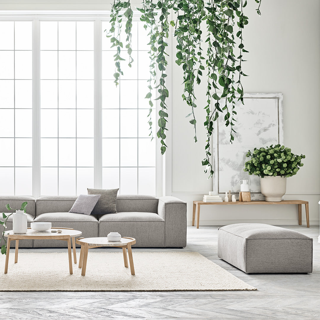 Gray modern sofa with light wood accents, soft beige rug, and lush green plants against a bright white wall.
