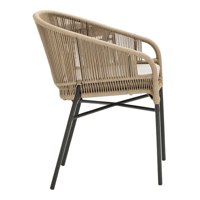 Cricket Dining Armchair - 2989