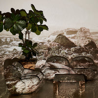 "Textured stone pattern sofa set in earthy tones with a chic coffee table and lush green plant backdrop."