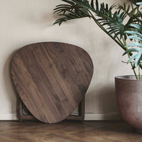 Walnut wood table with a unique, organic shape and rich, warm tones, complemented by a minimalistic plant display.