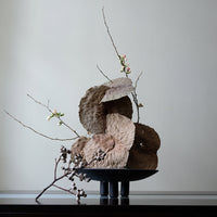 Textured beige and brown circular elements with soft green floral accents, displayed in a black vase against a neutral background.
