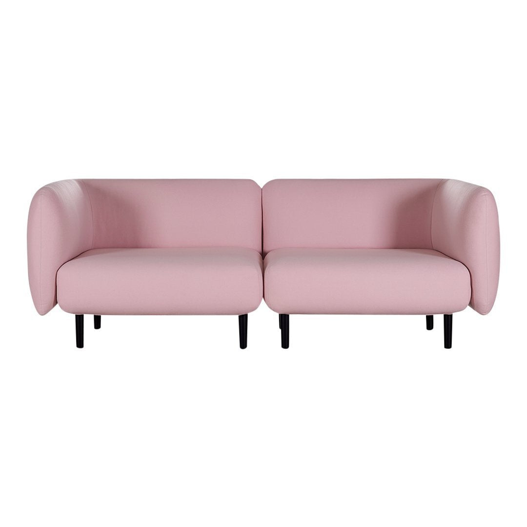 Light pink modern two-seater sofa with rounded edges and sleek black legs, offering a contemporary aesthetic.